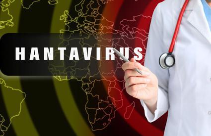 Risc de pandemie de hantavirus? Medicii explică de ce nu trebuie să ne facem griji. „Astea sunt principiile în epidemiologie”