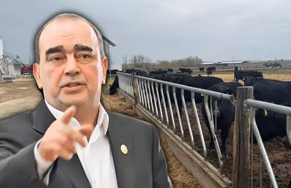 Domeniul de-o importanță deosebită în România în care a dat lovitura Gigi Neţoiu. În ce a investit? „E cea mai tare din Europa”