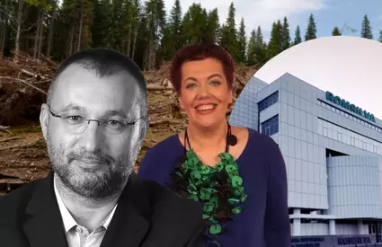 Contracte publice cu dedicație la Romsilva. Schema prin care banii publici ajungeau la specialiștii în consultanță