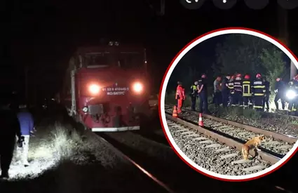 Ce s-a întâmplat, de fapt, în cazul femeii de 49 de ani, călcate de tren în Petroșani. Cum și-a salvat fata cu câteva clipe înainte de impact: „A revenit să ia un cărucior”