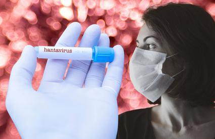 Primele doze de tratament experimental contra hantavirusului au ajuns în Europa. Medicamentul a fost folosit și în România în timpul pandemiei de COVID-19