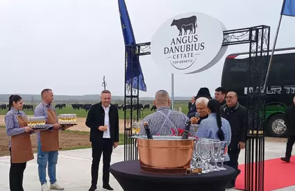 Afacerea de 50 milioane de euro a lui Gigi Nețoiu: „O vinde pe banii ăștia!”