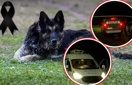 Cine va fi tras la răspundere de moartea micuțului de 4 ani ucis de un câine ciobănesc de la o stână din Buzău. Băiețelul era nesupravegheat