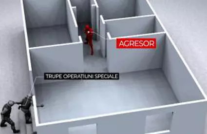 ANIMAŢIE. Bărbat din Neamţ ucis de trupele speciale SAS, după ce a tras în mascaţi