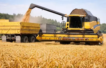 Seceta mută riscul din câmp în bilanțurile companiilor alimentare, după ce MARS a revizuit în jos toate culturile din UE