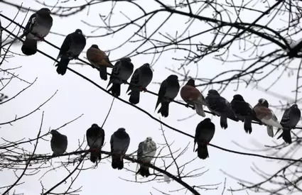 Vremea în România până pe 23 martie: estimările ANM pentru următoarele patru săptămâni