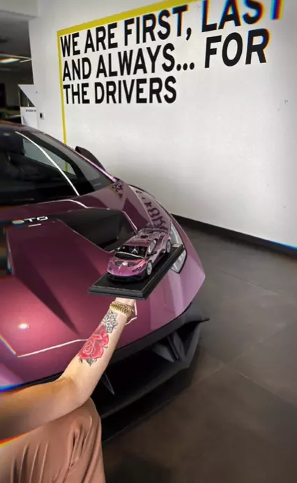 alina-vidican-cadou-masina-claude-senhoreti-4