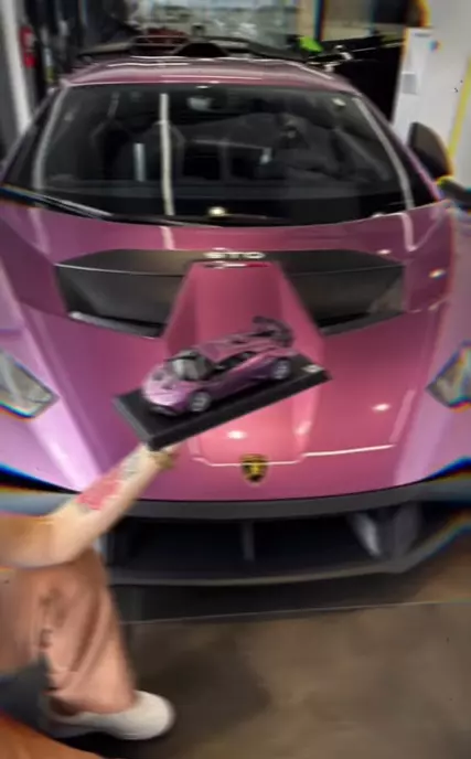 alina-vidican-cadou-masina-claude-senhoreti-5