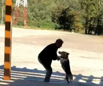 revedere intre rus si cainele