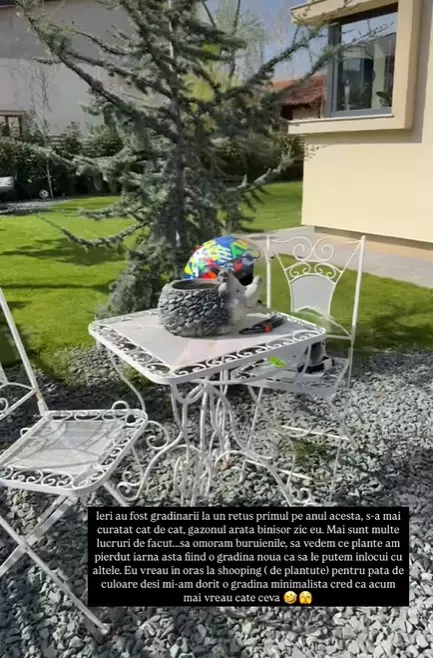 gradina andreea banica 3