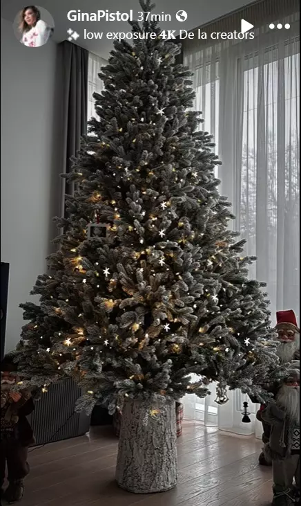 gins pistol brad de craciun 3