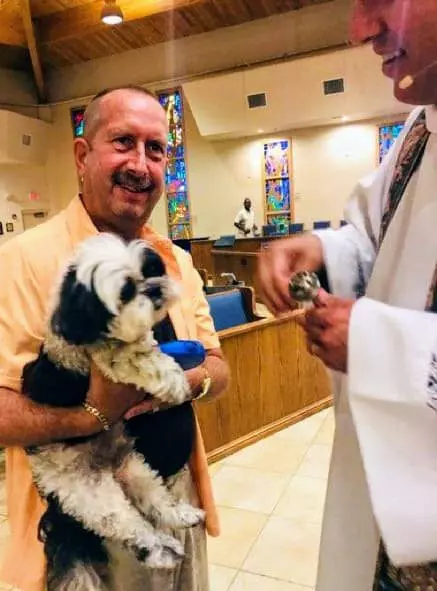 43337700_2272114992863563_3573731472550395904_n