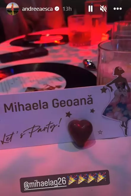 petrecere-mihaela-geoana-5