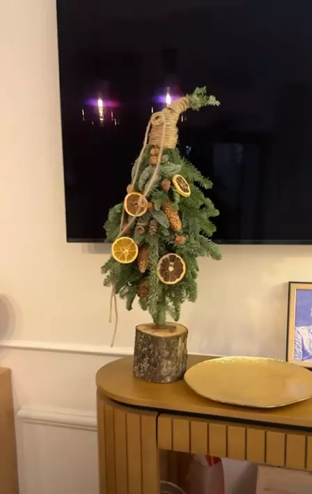marius manole casa sarbatori craciun (4)