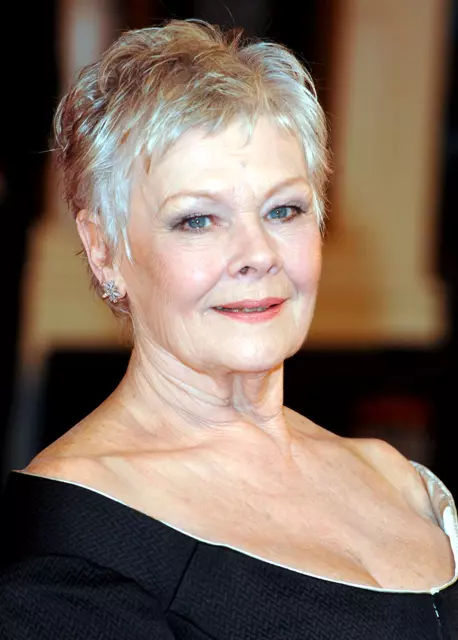 0-191199-judidench.jpg