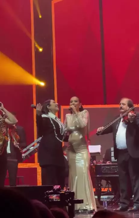 Vlăduța Lupău însărcinată (7)