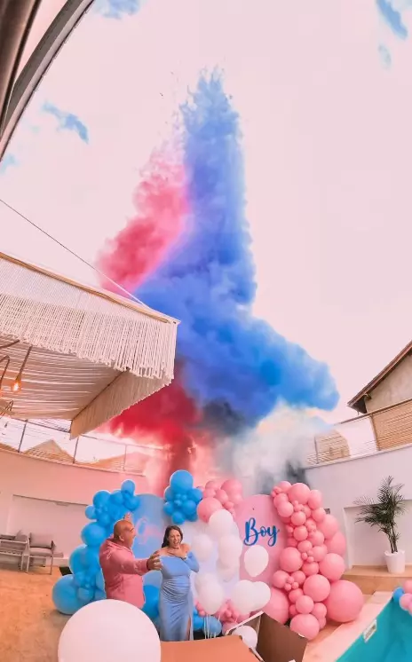 Roxana Nemes insarcinata gemeni 8