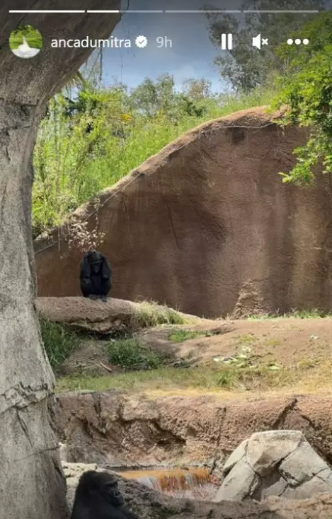 anca-dumitra-luna-de-miere-4