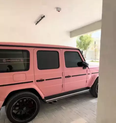 Malaikah Raja casnica dubai bani copil sot 3