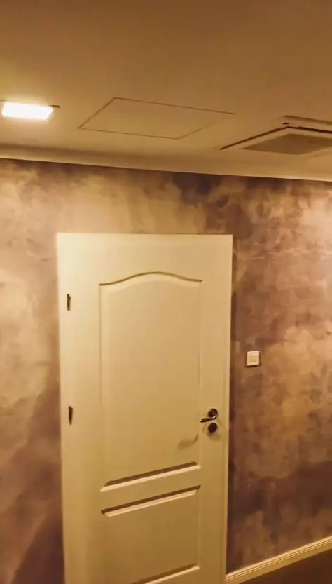 interior casa Florin Dumitrescu