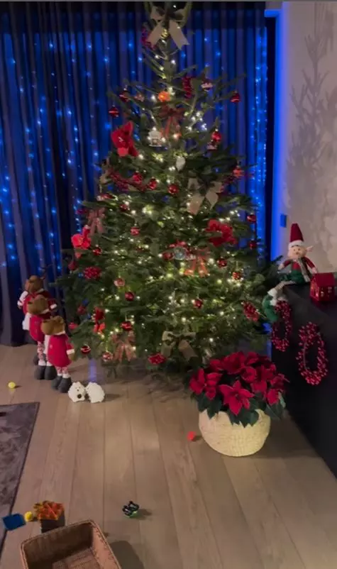 Casă Adela Popescu și Radu Vâlcan (1)