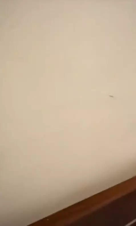 imagini cazare Asia Express - Irina Fodor (2)