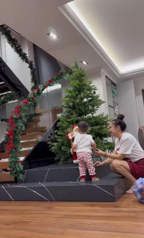 Vlăduța Lupău imagini casă (9)