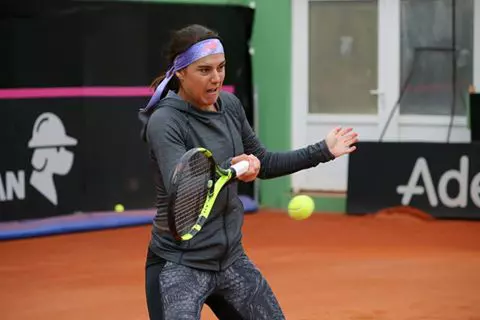 Fed Cup Romania
