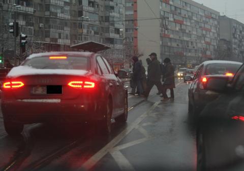  Adelina Pestrițu, ți-ai luat permisul auto la Pitești?
