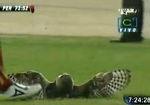 Video | Un fotbalist a degajat o...bufniţă