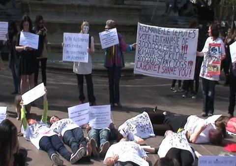 Video | Miting împotriva eutanasierii câinilor din România organizat la Berlin