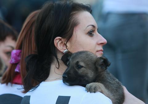  Adoptă un căţeluş în Parcul Bazilescu