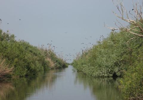 Sondaj de opinie în Delta Dunării