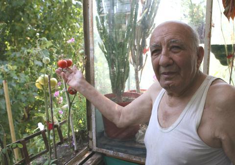 Un pensionar bucureştean oferă o soluţie anti-criză: "roşii de balcon"