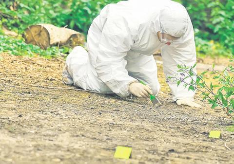 Un bebeluș a fost găsit mort într-un parc din Constanța. Pruncul desfigurat ar fi fost devorat de câini UPDATE