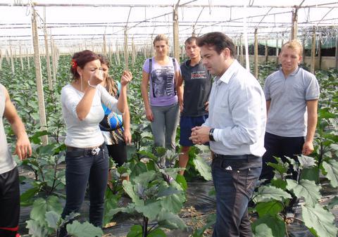 Deputatul PDL William Brînză a ţinut sute de audienţe printre răsaduri cu roşii şi vinete, la o fermă din Sicilia, Italia