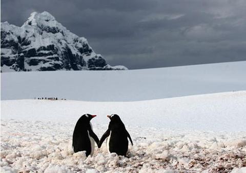 Iată fotografia, făcută de un român, care a făcut înconjurul lumii!