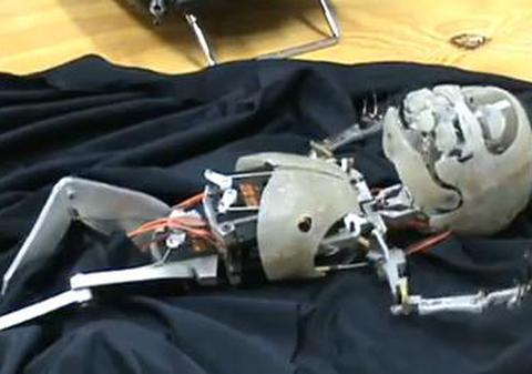 Fascinant, şocant sau grotesc? BEBELUŞUL-ROBOT, creaţia care imită perfect mişcările şi plânsul unui nou-născut | VIDEO