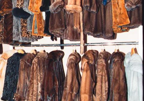 Legea care interzice creșterea animalelor pentru blană, adoptată de parlamentul polonez