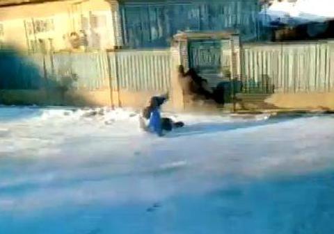 Asta e clar cea mai tare cursă cu sania de iarna asta! | VIDEO