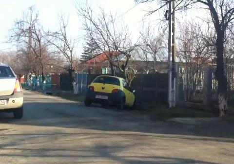 Femeie la volan! Feriţi copacii! VIDEO