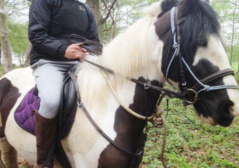 Claudiu Mirică, fostul solist al trupei Stigma, ţintuit la pat din cauza unui cal