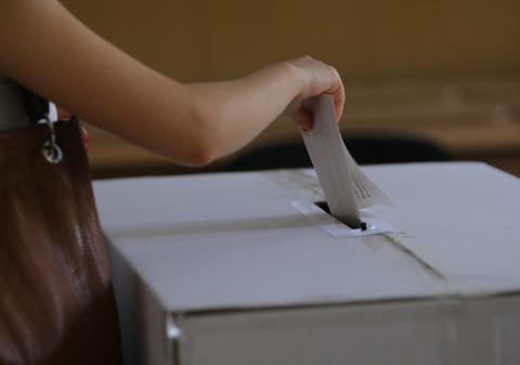 HALUCINANT! Cum şi-au convins 6 membri PNL soţiile să voteze