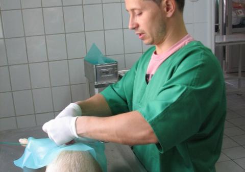 Ai un câine de castrat? Medicii vin gratis la tine. Vezi unde se-ntâmplă asta