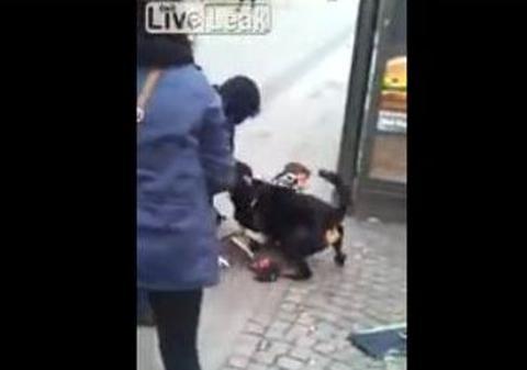 Un COPIL a fost ATACAT de un ROTTWEILER în Suedia! Uite cum se chinuie oamenii să-l scoată pe micuţ din colţii animalului  | ATENŢIE VIDEO ŞOCANT!