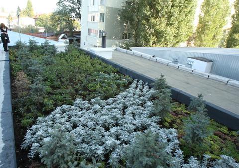 Aşa arată primul acoperiş “verde” din Capitală