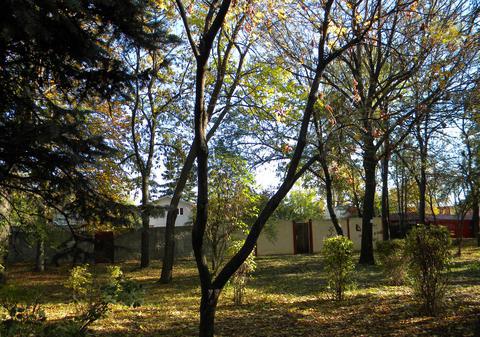 S-a sinucis de ziua ei! O fată de 24 de ani din Ploieşti s-a spânzurat în parc