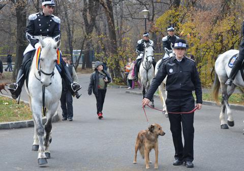 APARIŢIE INEDITĂ la parada de la Arcul de Triumf. PATRULELE CĂLARE ale POLIŢIEI LOCALE au venit cu o MASCOTĂ
