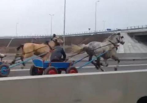 "Liniuţa" care face România de râsul Europei! Doi căruţaşi s-au luat la întrecere pe Autostrada Soarelui! | VIDEO