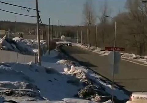 Fix ca-n filme! Doi puşcăriaşi canadieni au evadat cu un ELICOPTER